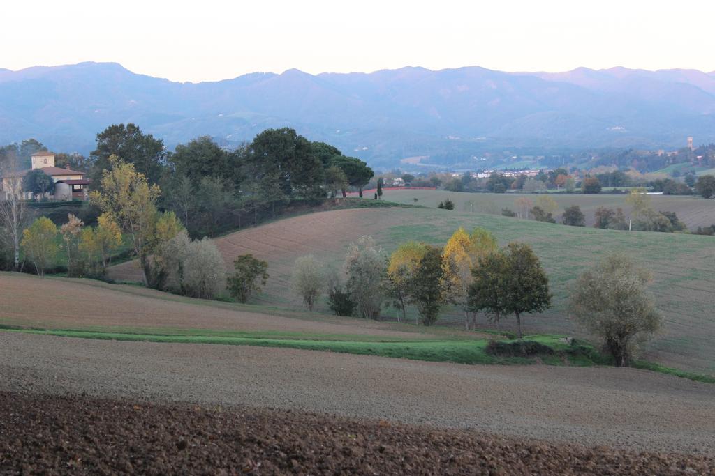 Intorno Firenze B&B San Piero a Sieve Ngoại thất bức ảnh